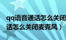 qq语音通话怎么关闭麦克风功能（qq语音通话怎么关闭麦克风）