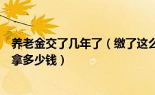 养老金交了几年了（缴了这么多年养老保险退休后一个月能拿多少钱）