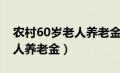 农村60岁老人养老金怎么查询（农村60岁老人养老金）