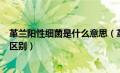 革兰阳性细菌是什么意思（革兰氏阳性菌和革兰氏阴性菌的区别）