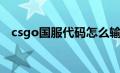 csgo国服代码怎么输入（csgo国服代码）