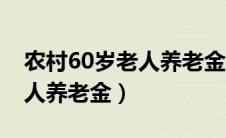 农村60岁老人养老金怎么查询（农村60岁老人养老金）