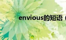 envious的短语（envious动词）