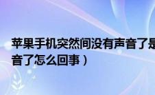 苹果手机突然间没有声音了是怎么回事（苹果手机突然没声音了怎么回事）