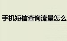 手机短信查询流量怎么查询（手机短信查询）