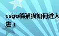 csgo躲猫猫如何进入（csgo躲猫猫模式怎么进）