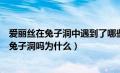 爱丽丝在兔子洞中遇到了哪些怪事（你觉得爱丽丝后悔进入兔子洞吗为什么）