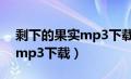 剩下的果实mp3下载百度网盘（剩下的果实mp3下载）