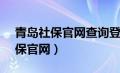 青岛社保官网查询登录入口（青岛12333社保官网）