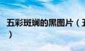 五彩斑斓的黑图片（五彩斑斓的黑色是什么梗）