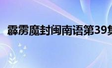 霹雳魔封闽南语第39集（霹雳魔封闽南语）