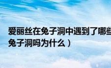 爱丽丝在兔子洞中遇到了哪些怪事（你觉得爱丽丝后悔进入兔子洞吗为什么）