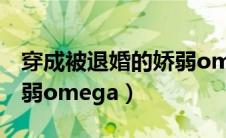 穿成被退婚的娇弱omega.（穿成被退婚的娇弱omega）