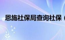 恩施社保局查询社保（恩施社保查询系统）