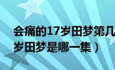 会痛的17岁田梦第几集出现的（会痛的十七岁田梦是哪一集）