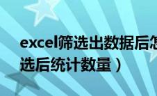 excel筛选出数据后怎么统计数量（excel筛选后统计数量）