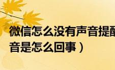 微信怎么没有声音提醒了（微信来信息没有声音是怎么回事）