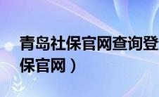 青岛社保官网查询登录入口（青岛12333社保官网）