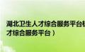 湖北卫生人才综合服务平台机构注册审核多久（湖北卫生人才综合服务平台）