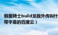 假面骑士build龙我外传叫什么（求假面骑士build龙我外传带字幕的百度云）