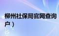 柳州社保局官网查询（柳州市社保查询个人账户）