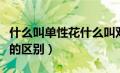 什么叫单性花什么叫双性花（单性花和双性花的区别）