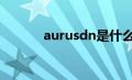 aurusdn是什么牌子（aurus）