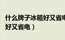 什么牌子冰箱好又省电又好用（什么牌子冰箱好又省电）