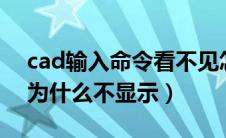 cad输入命令看不见怎么弄（cad输入li命令为什么不显示）