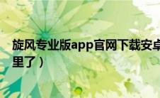 旋风专业版app官网下载安卓（旋风打单手工订单下载到哪里了）