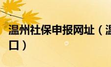 温州社保申报网址（温州社保网上申报系统入口）