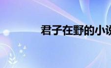 君子在野的小说（君子在野）