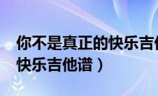 你不是真正的快乐吉他谱c调（你不是真正的快乐吉他谱）