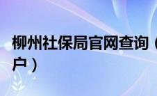 柳州社保局官网查询（柳州市社保查询个人账户）