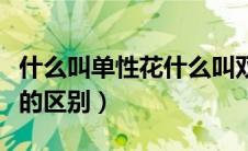 什么叫单性花什么叫双性花（单性花和双性花的区别）