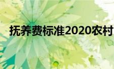 抚养费标准2020农村（抚养费标准2020）