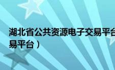 湖北省公共资源电子交易平台app（湖北省公共资源电子交易平台）