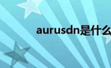 aurusdn是什么牌子（aurus）