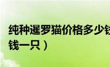 纯种暹罗猫价格多少钱一只（纯种暹罗猫多少钱一只）