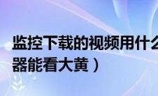 监控下载的视频用什么播放器能看（什么播放器能看大黄）