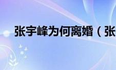 张宇峰为何离婚（张宇峰为什么嫁舒悦）