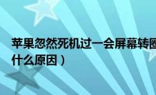 苹果忽然死机过一会屏幕转圈（苹果手机死机屏幕转圈圈是什么原因）