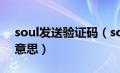 soul发送验证码（soulapp发验证码来什么意思）