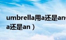 umbrella用a还是an修饰（umbrella前面用a还是an）