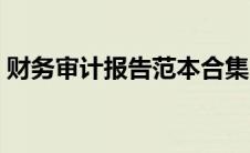 财务审计报告范本合集（财务审计报告范本）