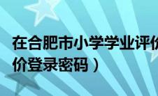 在合肥市小学学业评价网（合肥市小学学业评价登录密码）