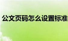 公文页码怎么设置标准（公文页码怎么设置）