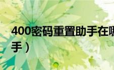 400密码重置助手在哪下载（400密码重置助手）