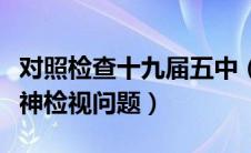 对照检查十九届五中（对照十九届四中全会精神检视问题）