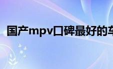 国产mpv口碑最好的车排行榜（国产mpv）